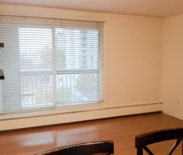 1 Bedroom Condo For Rent In Oliver! In Suite Laundry. Undgr. Parking. - Photo 3