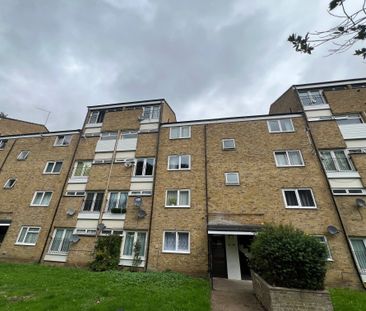 Morley Grove, Harlow - Photo 6