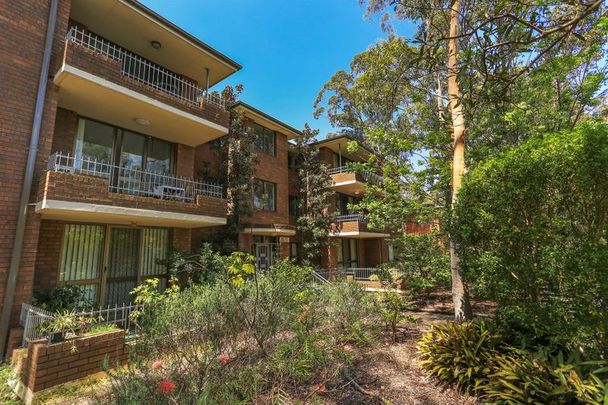 10/5 Robert Street, Artarmon NSW 2064 - Apartment For Rent | Domain - Photo 1