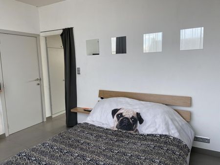 Appartement met 1 slaapkamer en zeer ruim (30m²) terras te St.-Jozef-Olen ! – Verlinden Vastgoed - Foto 2