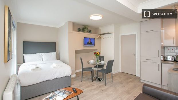 Serviced studio apartment for rent in St Stephen's Green, D2 - Photo 1