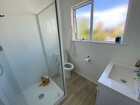Charming 3 Bedroom Home in Te Puke - Photo 3