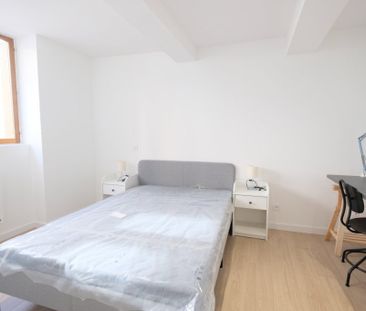 Location Appartement 2 pièces Meublé 29m² ST ETIENNE 42000 - Photo 1