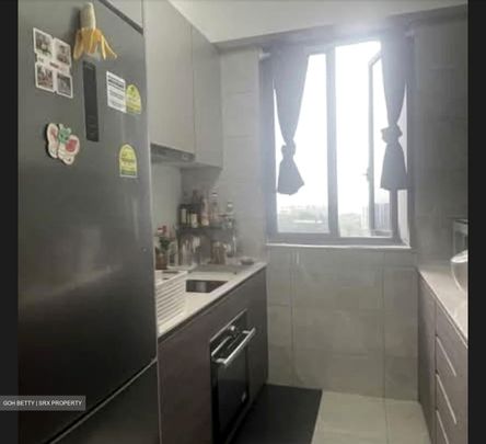 Stirling Residences (D3), Apartment - For Rent - Photo 1