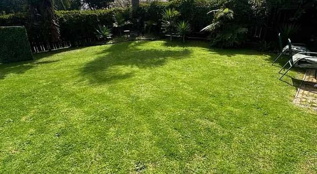 One back from the beach! - Photo 1