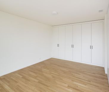 Wohnen über den Dächern - 2.5-Zimmer-Attikawohnung zu vermieten - Photo 3