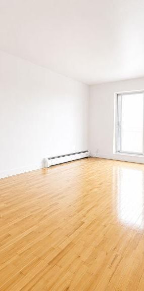 1 CH - 1 SDB - Montréal - $1,550 /mo - Photo 1