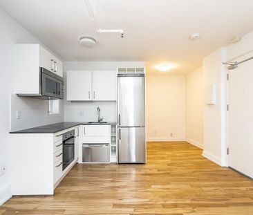 54 Maitland Street - Photo 4