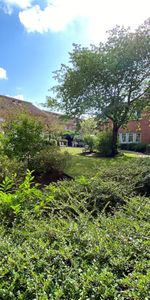 Södergatan 19 - Foto 4