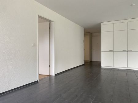 Schöne Wohnung im Fricktal gesucht? - Photo 2