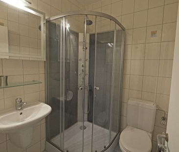 Versoix, spacious furnished (or unfurnished) 5-room apartment, very... - Photo 6