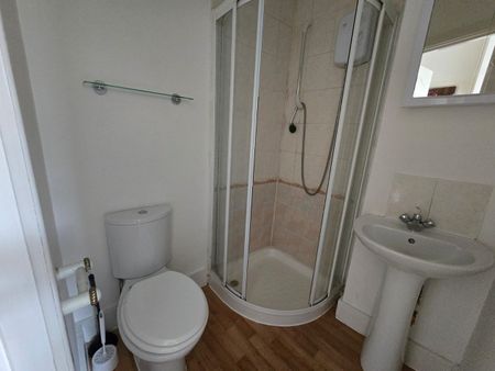 Studio Flat, Brooke Road, N16 - Photo 5