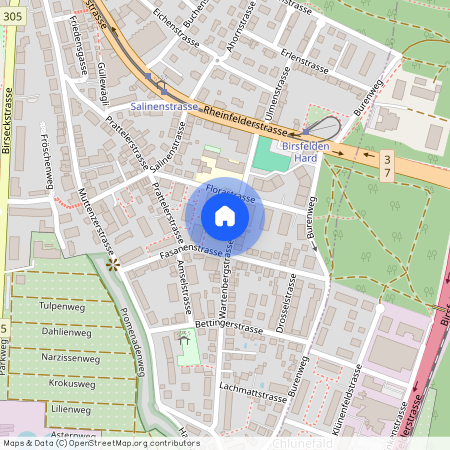 Wartenbergstrasse 43, 4127 Birsfelden