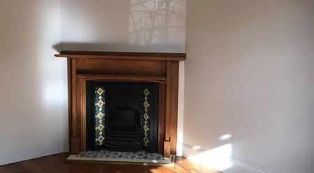 Grey Lynn - Great Location! - Photo 5