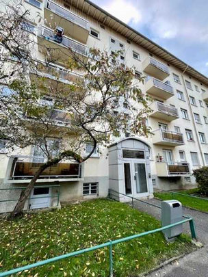 Location : Appartement 5 pièces 97 m2 – STRASBOURG - Photo 1