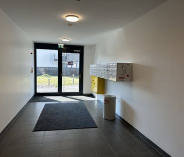 Moderne 2 Zi Wohnung mit Balkon provisionsfrei - nahe U1 - Foto 3