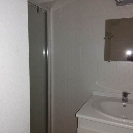 Location Appartement 1 pièce 29m² TAIN L HERMITAGE 26600 - Photo 3