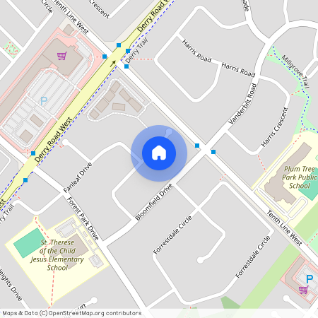 3228 Coralbean Place Unit# Lower, Mississauga