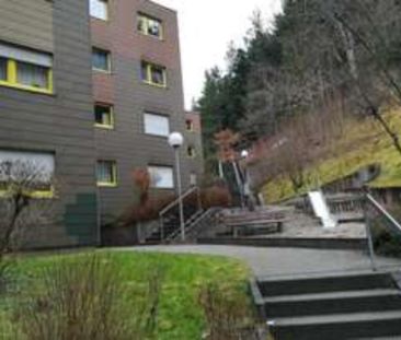 182.03 3 ZKB Wohnung Karl-Greiner-Str. 65 in Calw Besichtigung: 06.... - Foto 1
