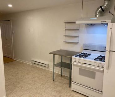 1 bedroom+1 den/ basement suite/600 sqft - Photo 1