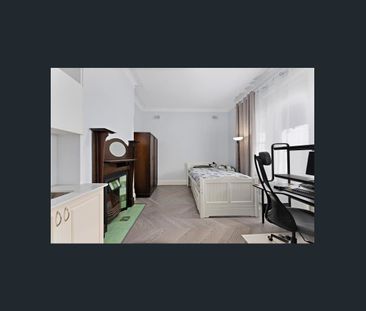 135 Bland Street, Haberfield, NSW 2045 - Photo 3