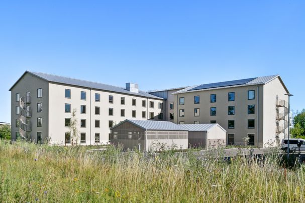 Greta Arwidssons Gata, Visby - Photo 1