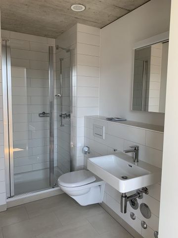 Wohnung mit Weitsicht und grosser Dachterrasse - Photo 3