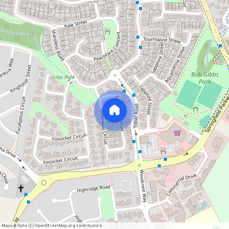 40 Greenway Circuit, Springfield QLD 4300