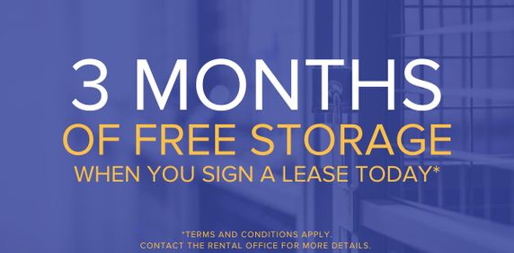 San Romanoway Apartments - Photo 2