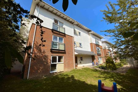 1 Bedroom - Photo 4