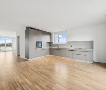 Neubauwohnung an traumhafter Lage direkt am Seeufer in Rapperswil-Jona - Foto 4
