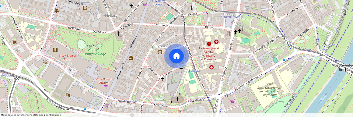 ul. Mikołaja Kopernika, Centrum, Stare Miasto, Poznań, wielkopolskie