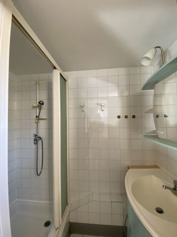 Location Appartement 1 pièce 36m² GRENOBLE 38000 - Photo 5