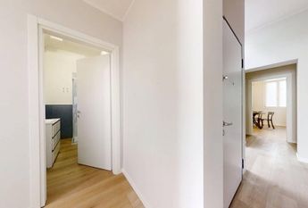 Via San Francesco, Padova, Veneto 35121