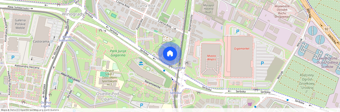 Serbska 15, Poznań, Winogrady