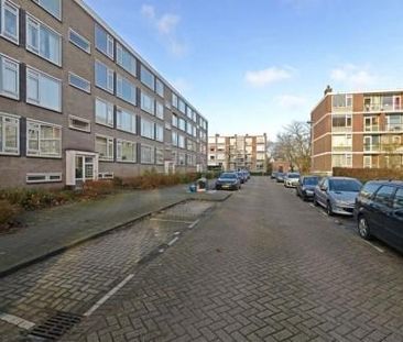 Quadenoord 0ong, 3079 Rotterdam, Nederland - Foto 1