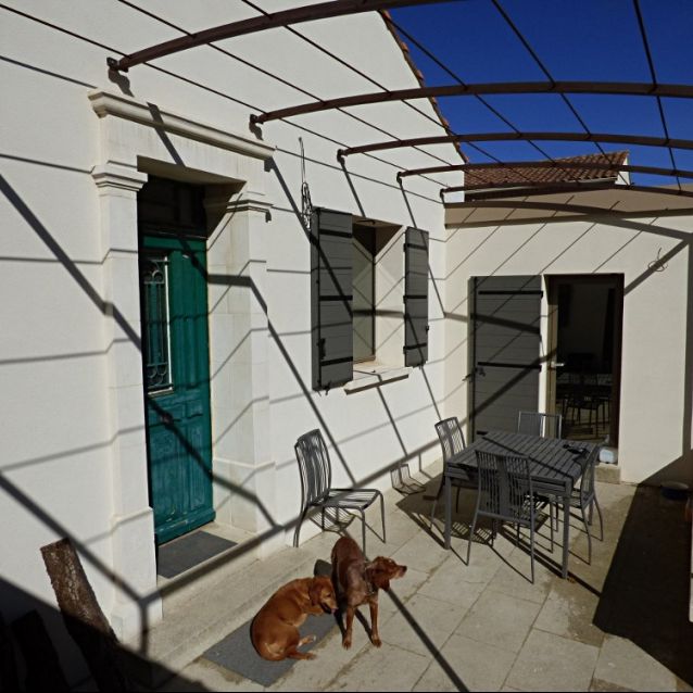 AVIGNON EXTRA MUROS: Maison avec jardin au calme d'une impasse à 10 minutes à pied de la Porte Saint Michel - Photo 1