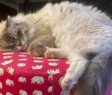 Plogvägen, Täby - Photo 5