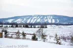 For Lease - 27 Mair Mills Drive, Collingwood, Ontario - Photo 5