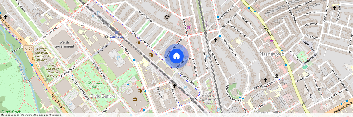 Llantwit Street, CF24 4AJ, Cathays