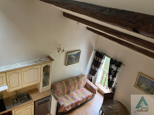 Location Appartement 1 pièce 33m² ROUSSET 13790 - Photo 1