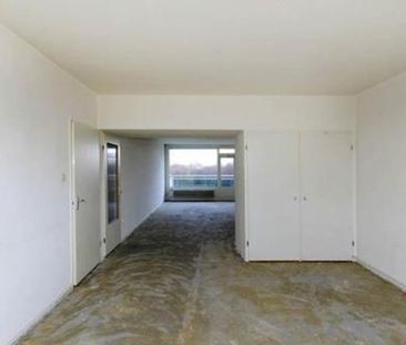 Forellendaal 2553 's-Gravenhage - Foto 1