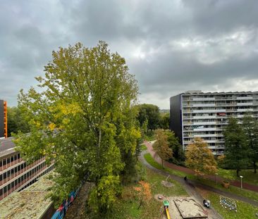 Schipmolen 59, Molenwijk, 1035CH, Amsterdam - Photo 3