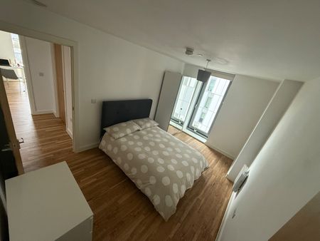 Room in a Shared Flat, Michigan Avenue, M50 - Photo 3