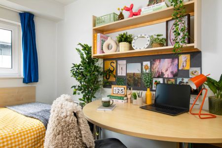 Medium Standard Double Ensuite - Photo 5