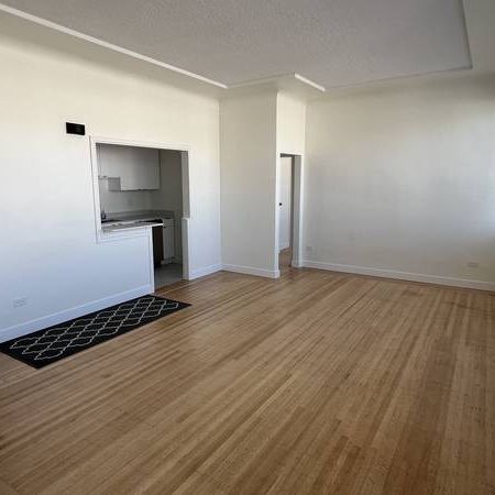 Large Bright and Beautiful One Bedroom - Photo 3