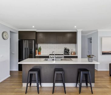 Perfect family home, with shedding - Photo 2