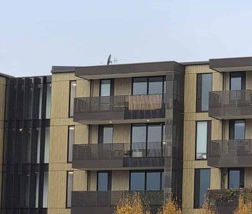 Prime Central Apartment - Fully Furnished + Views - Photo 5