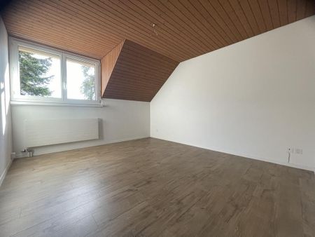 Im Erholungsgebiet am östlichen Rand des zürcherischen Weinlandes - Photo 4