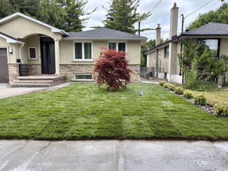 For Lease - 200 Goulding Avenue Unit# Lower, Toronto, Ontario - Photo 2